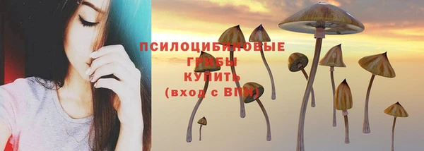 MESCALINE Богданович