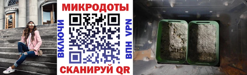 Псилоцибиновые грибы Psilocybine cubensis  Котово 
