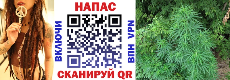где купить наркотик  Котово  Шишки марихуана семена 